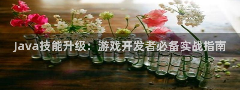V8娱乐平台：Java技能升级：游戏开发者必备实战指南