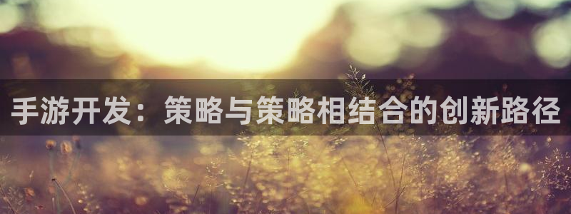 V8娱乐：手游开发：策略与策略相结合的创新路径