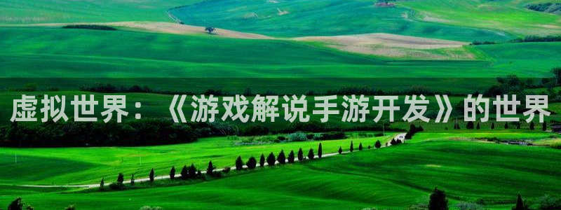 V8娱乐注册：虚拟世界：《游戏解说手游开发》的世界