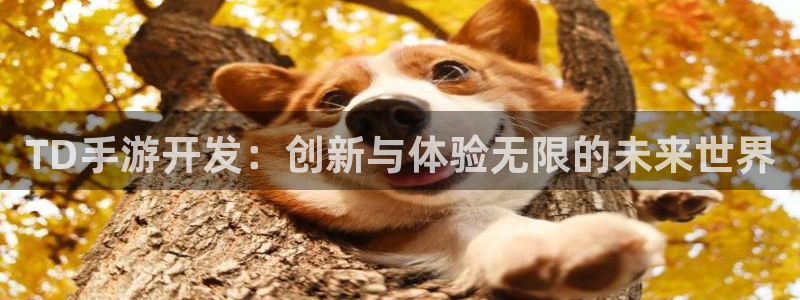V8娱乐官网：TD手游开发：创新与体验无限的未来世界