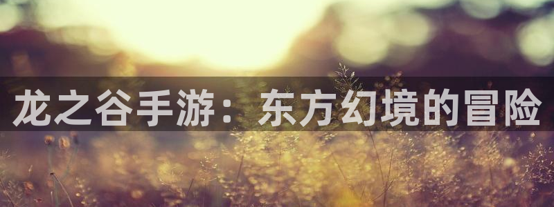 V8娱乐网：龙之谷手游：东方幻境的冒险