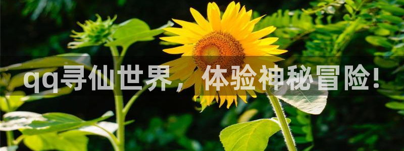 V8娱乐登录：qq寻仙世界，体验神秘冒险!