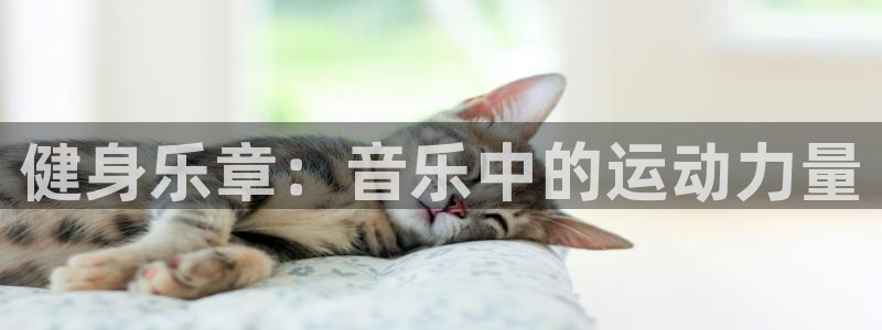 谈球吧：健身乐章：音乐中的运动力量