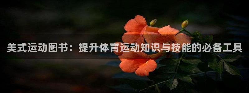 谈球吧：美式运动图书：提升体育运动知识与技能的必备工具