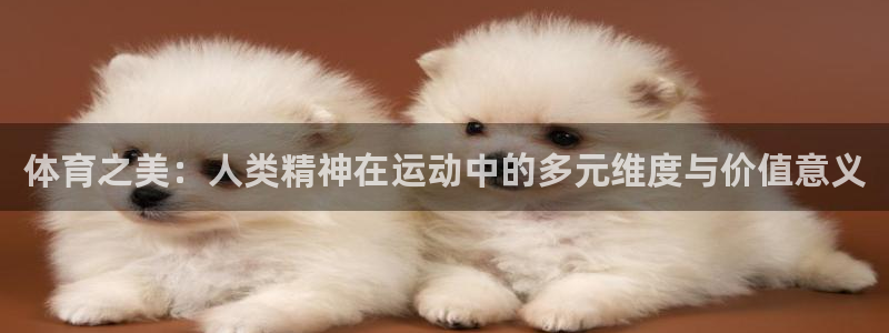 谈球吧体育官网：体育之美：人类精神在运动中的多元维度与价值意义