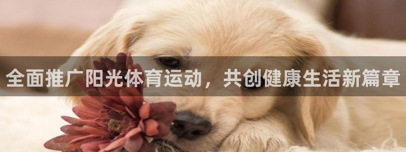 谈球吧体育