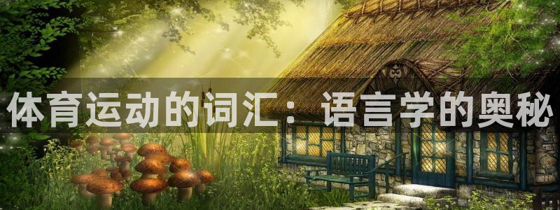 谈球吧体育官网：体育运动的词汇：语言学的奥秘